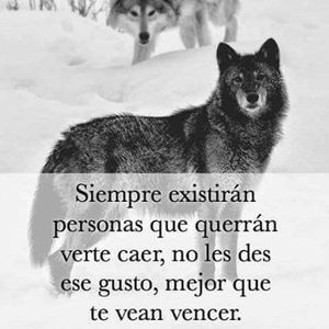 Meet your Posher, Ponce